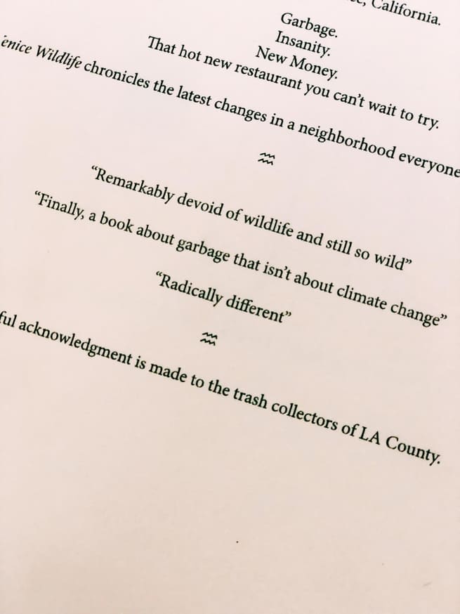 Venice Wildlife thumbnail 3