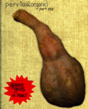 The Gods Sure Are Queer V. 1 (Pocket-Sized) / Perv (Local, Organic) Pt. 1 (Polaroid-Sized)