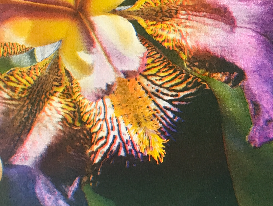 reborn today, after a long repose in oblivion thumbnail 2