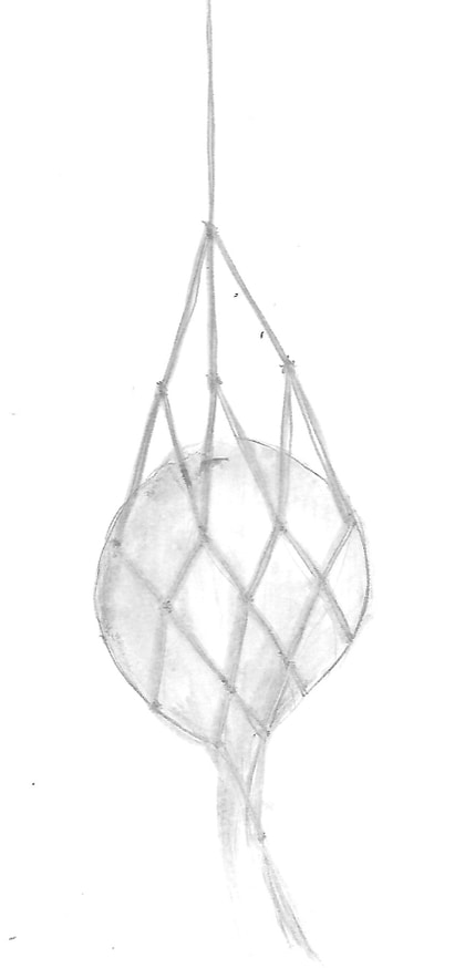 A Year Around the Sun