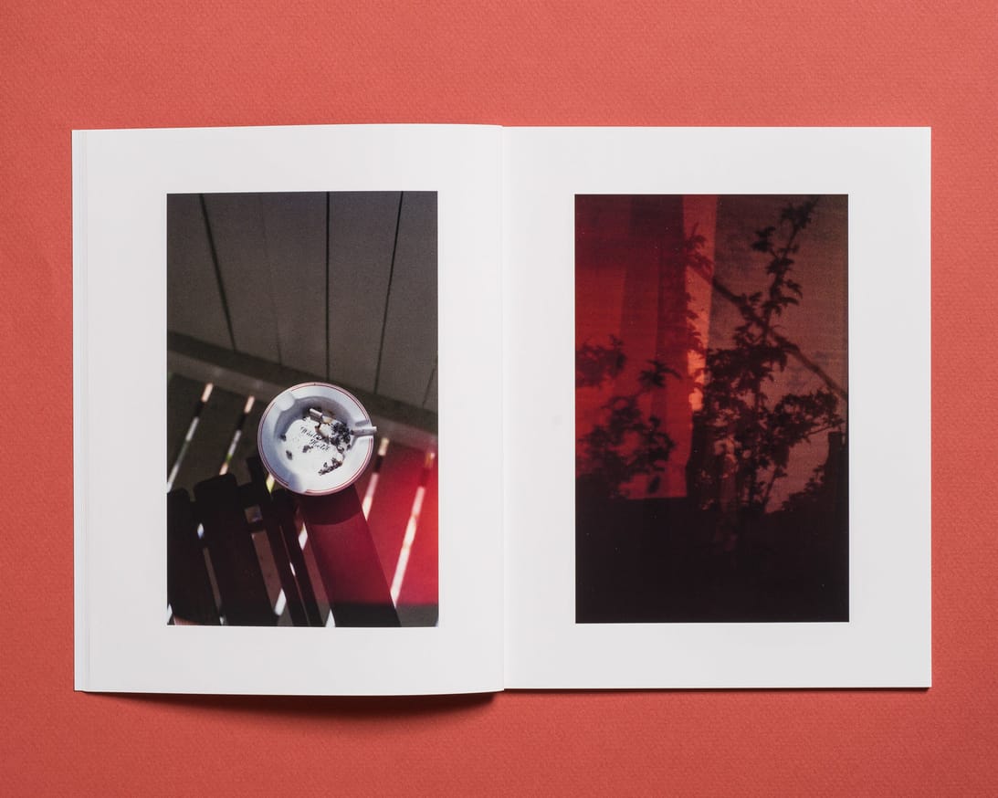 LOST, New Zealand thumbnail 5