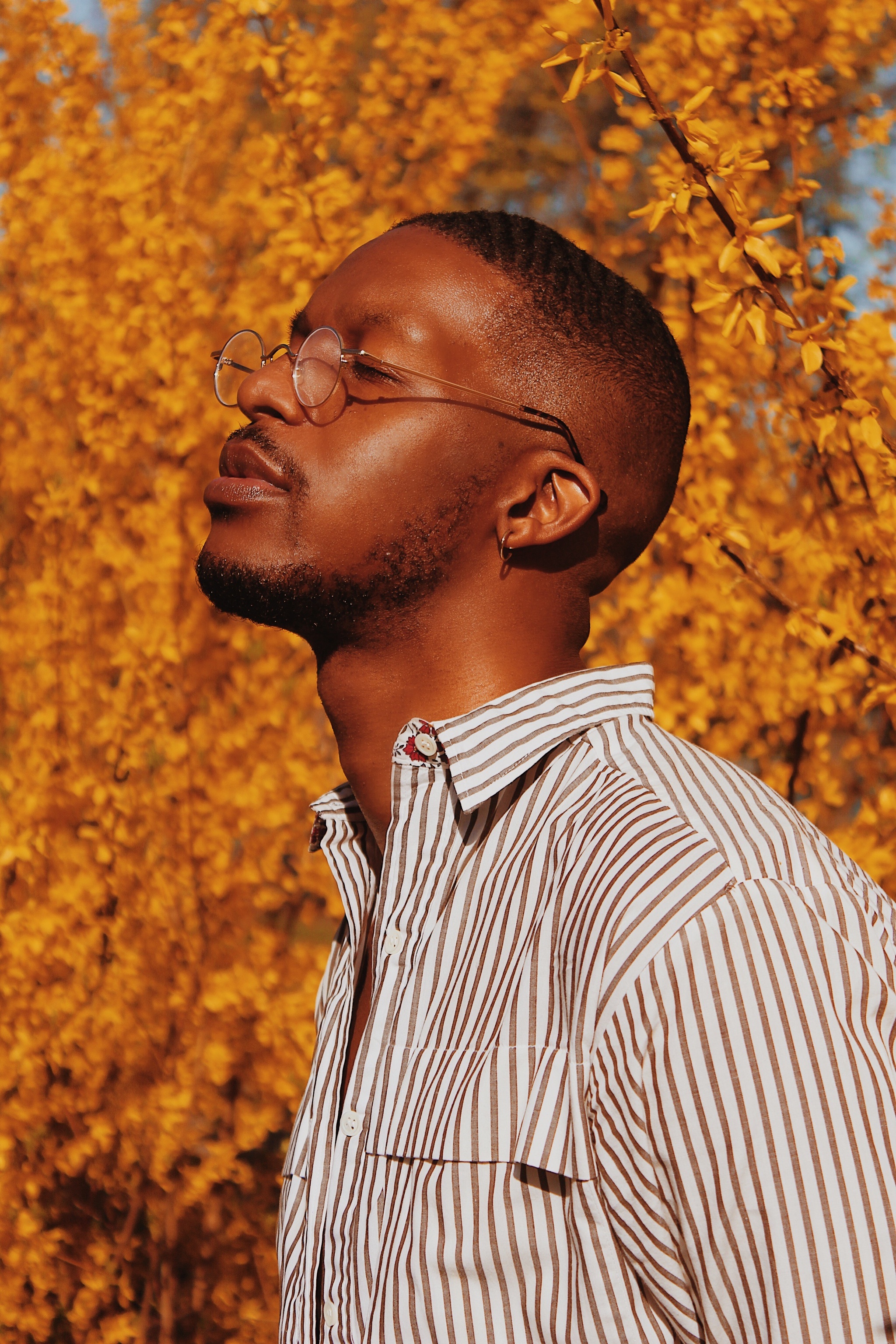 A portrait of singer Josh Walker who lifts his head toward sunlight with his eyes closed. He wears glasses and a striped button down shirt. A tree's golden leaves fill the background.