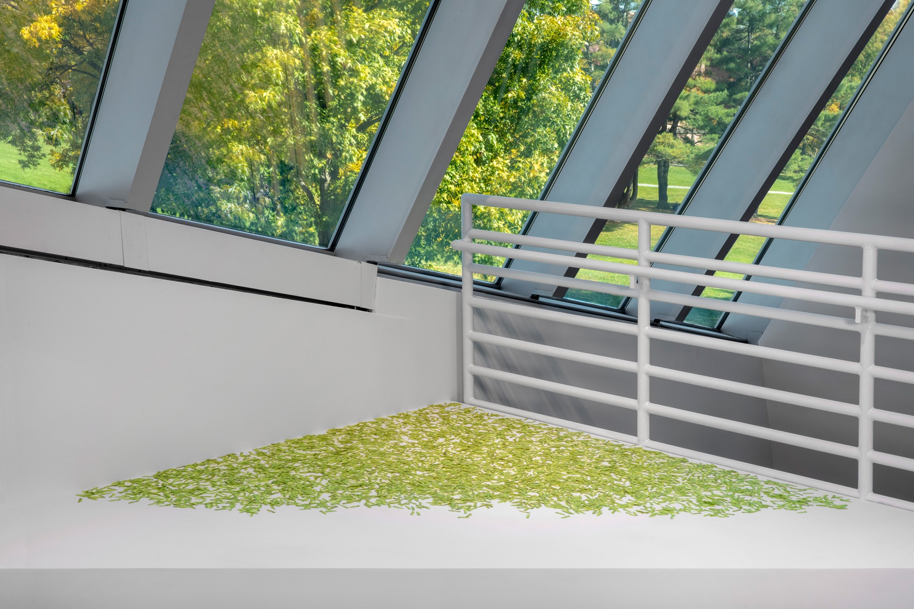 A close-up of white, triangular plinth with green maple seeds scattered on it underneath an angled ceiling made of glass through which green trees are visible.