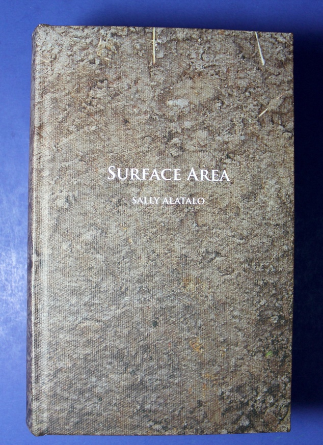 Surface Area thumbnail 1
