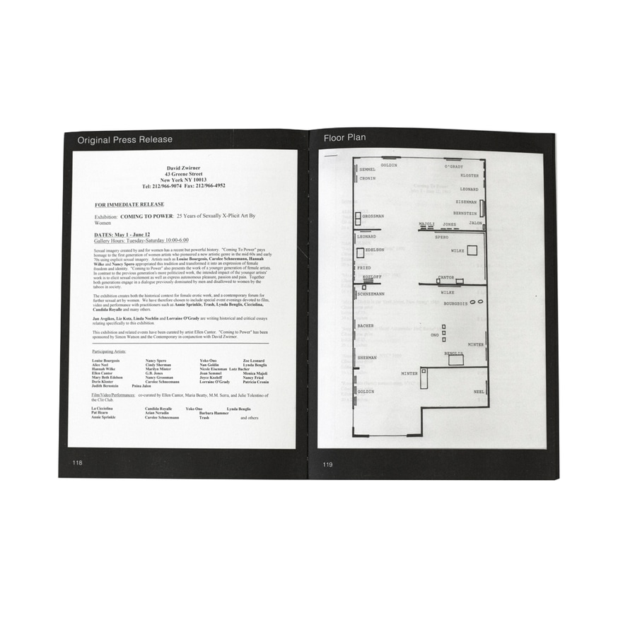 Ellen Cantor: "I'm Still Coming", Coming to Power 2016 +1993 thumbnail 4