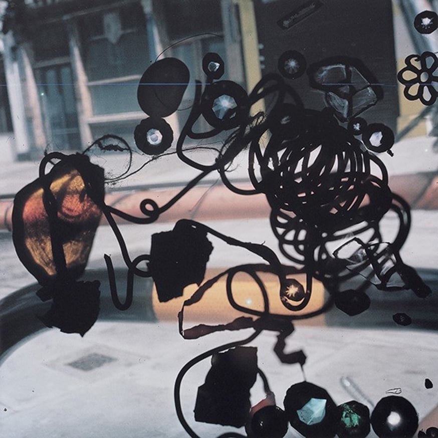 Talking to Ants thumbnail 6