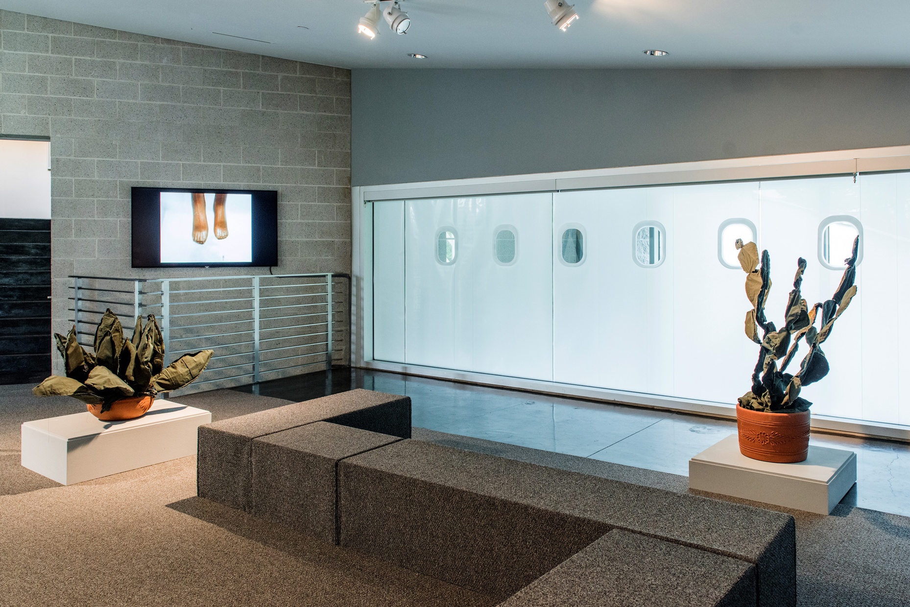 A bright wall of windows lets light into a carpeted gallery with soft cactus sculptures on pedestals and a mounted tv monitor showing a video.