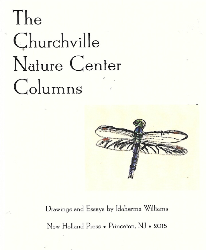 The Churchville Nature Center Columns thumbnail 1
