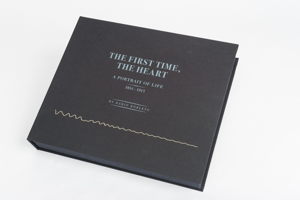 A black box with the text 'THE FIRST TIME,THE HEART A PORTRAIT OF LIFE 1854-1913 BY DARIO ROBLETO' in silver text. A silver squiggly line accents the box.