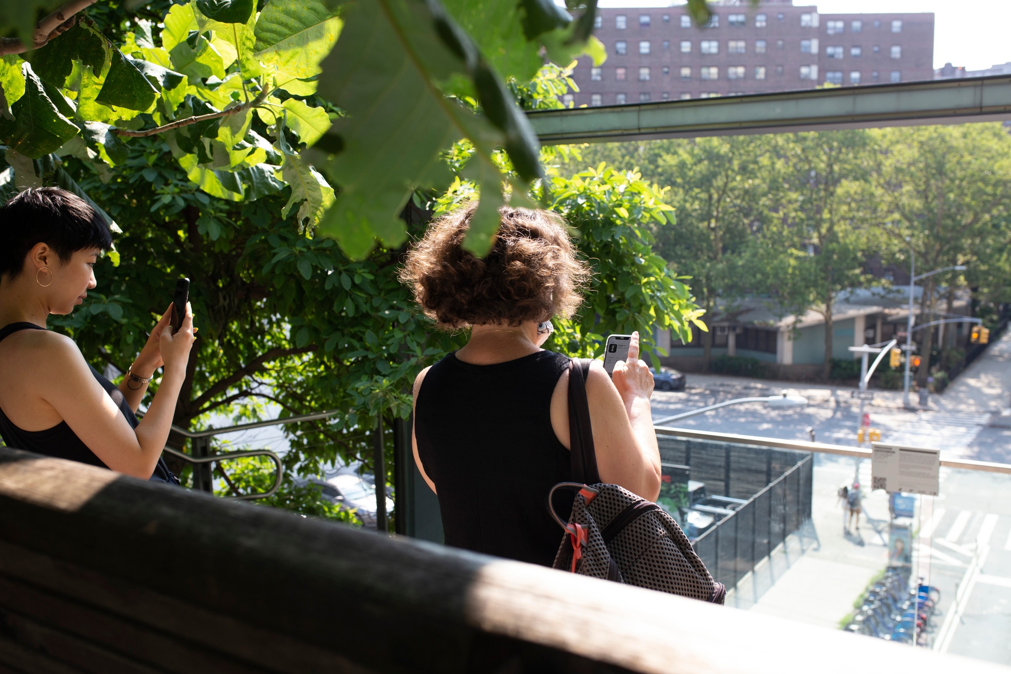 Two people aiming their phones at an artwork label on an overpass on the High Line. Beneath them a street is visible and they are surrounded by leafy green plants.