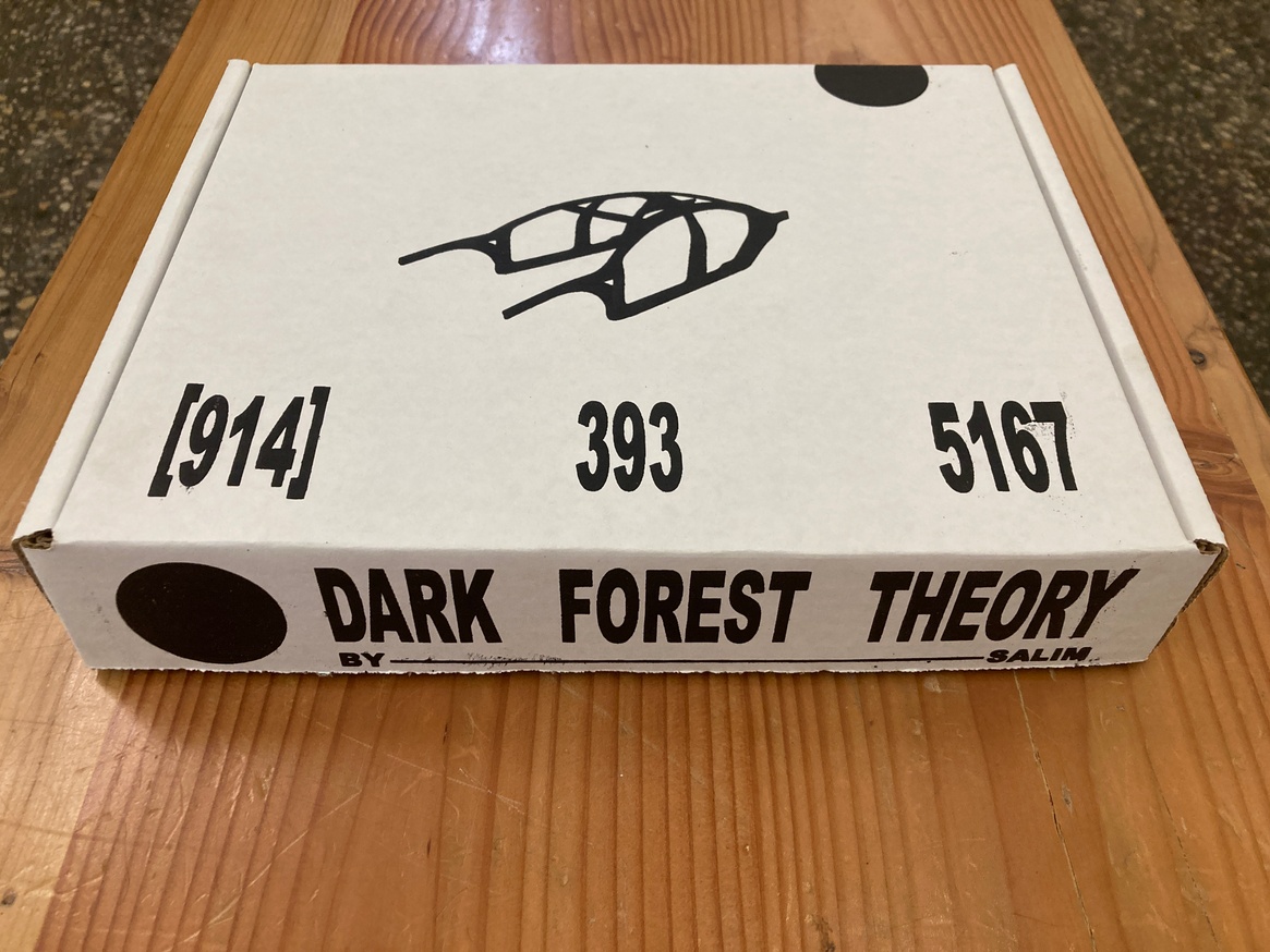 Dark Forest Theory thumbnail 1
