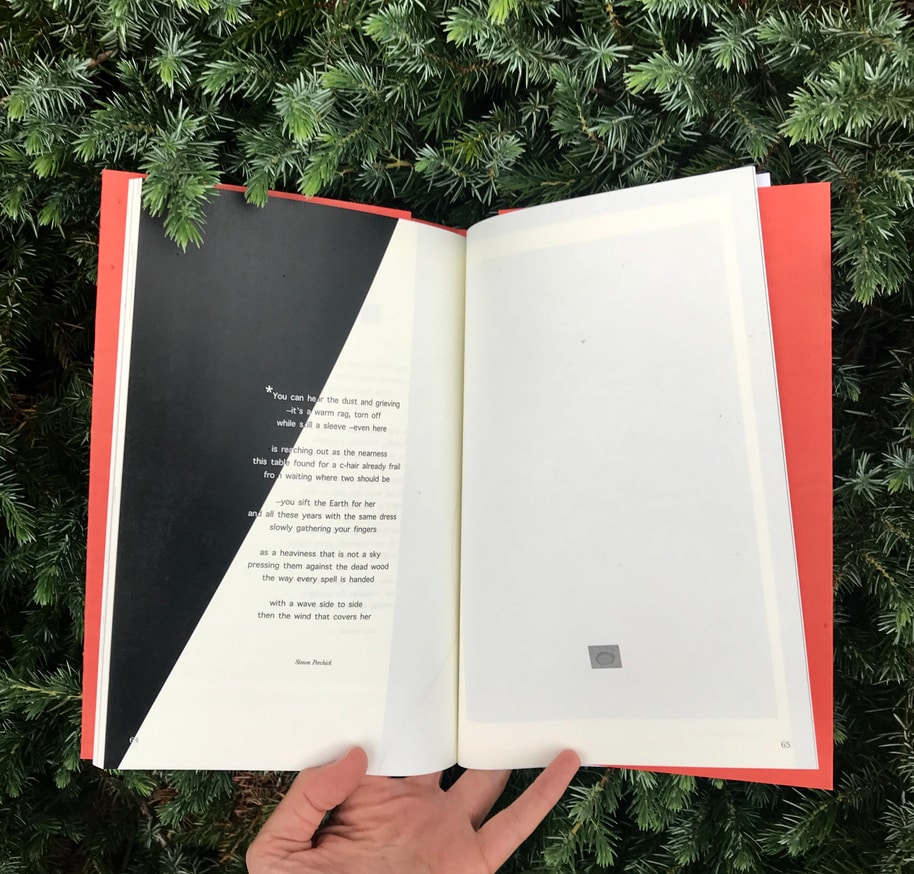 Anthology of Forests thumbnail 4