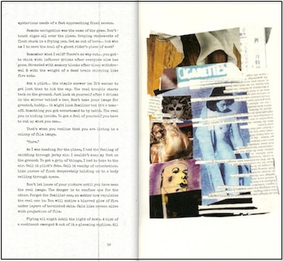 Flesh Film thumbnail 6