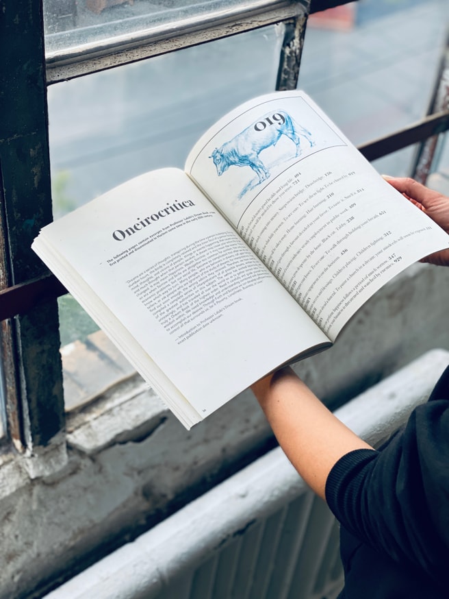 Tame the Wilderness? thumbnail 5