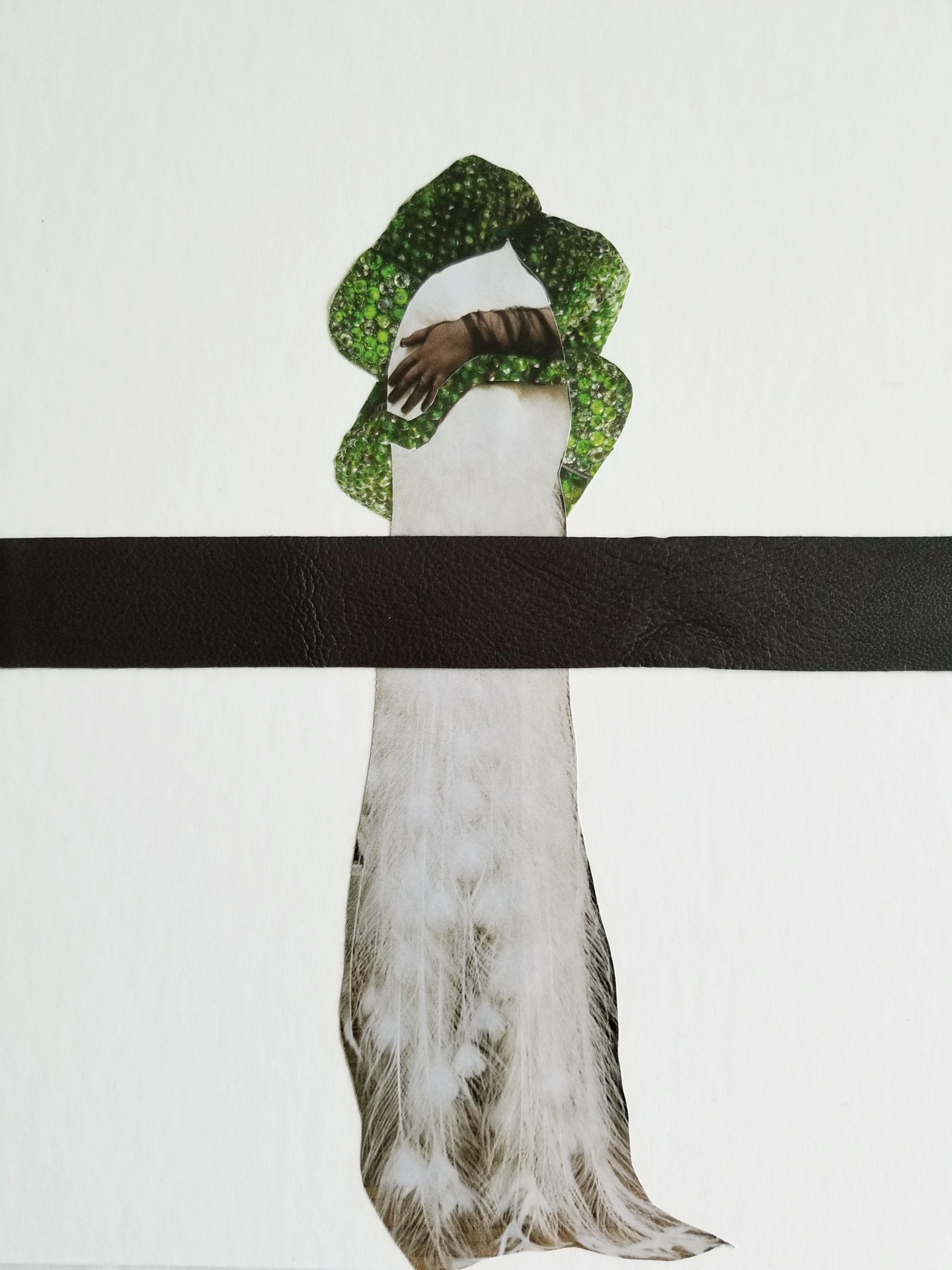A collage of a winding, green texture; a hand wrapped around whose arm is dark hair; and long, white (possibly peacock) feathers. Dividing the composition lengthways is a black leather strap.