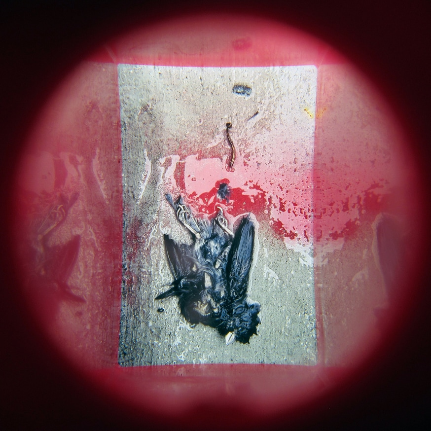 What in Me is Dark Illumine (Set of 7 Viewers) [fourth edition] thumbnail 10