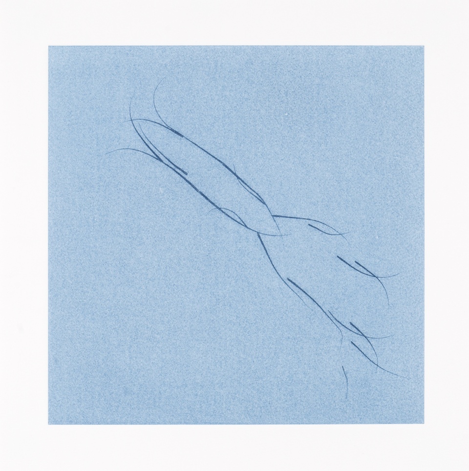 Image of abstract dark blue line drawing on light blue printed background