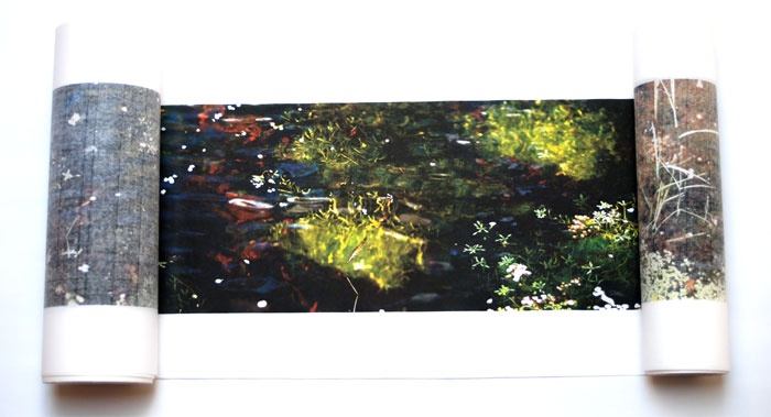 The Pond at Deuchar thumbnail 4