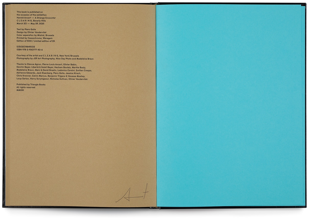 A Strange Encounter thumbnail 9