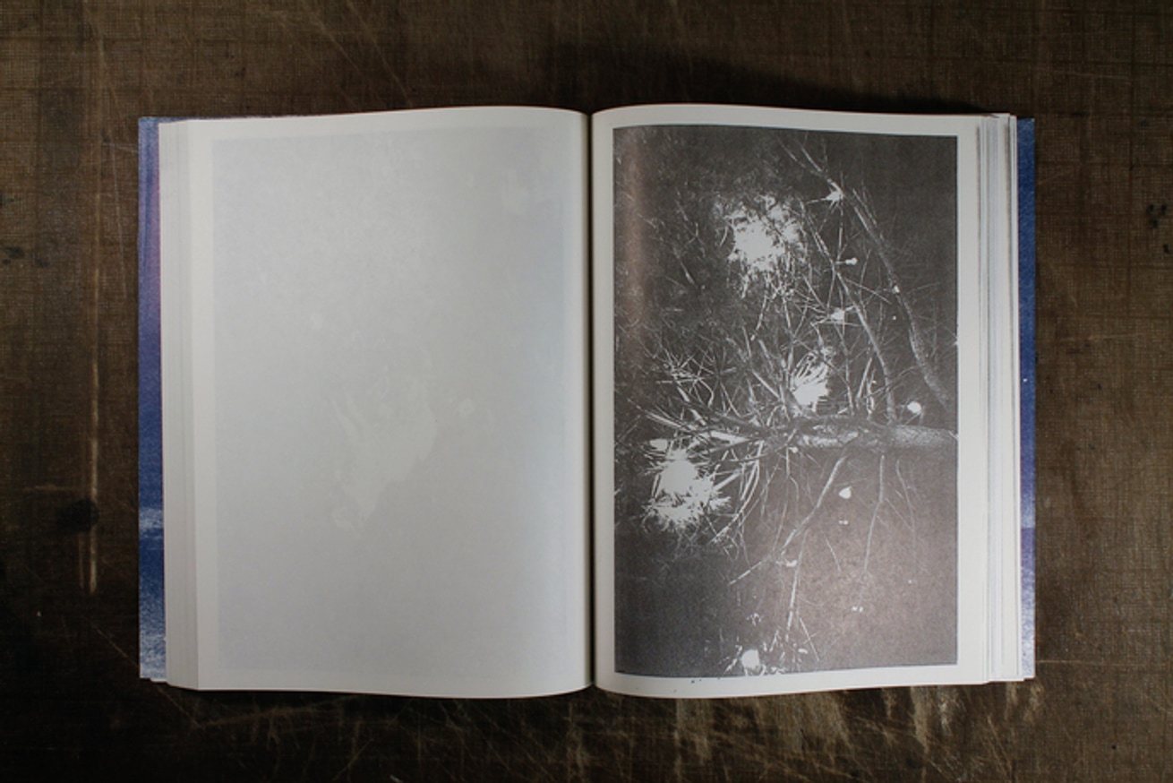 Absent without Leave - standard edition                                                                                                                                                                                                                         thumbnail 4