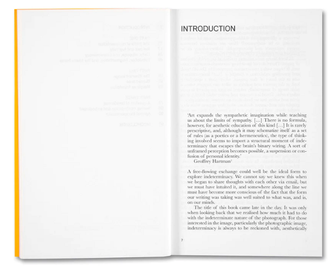 Indeterminacy: Thoughts on Time, the Image, and Race(ism) thumbnail 2