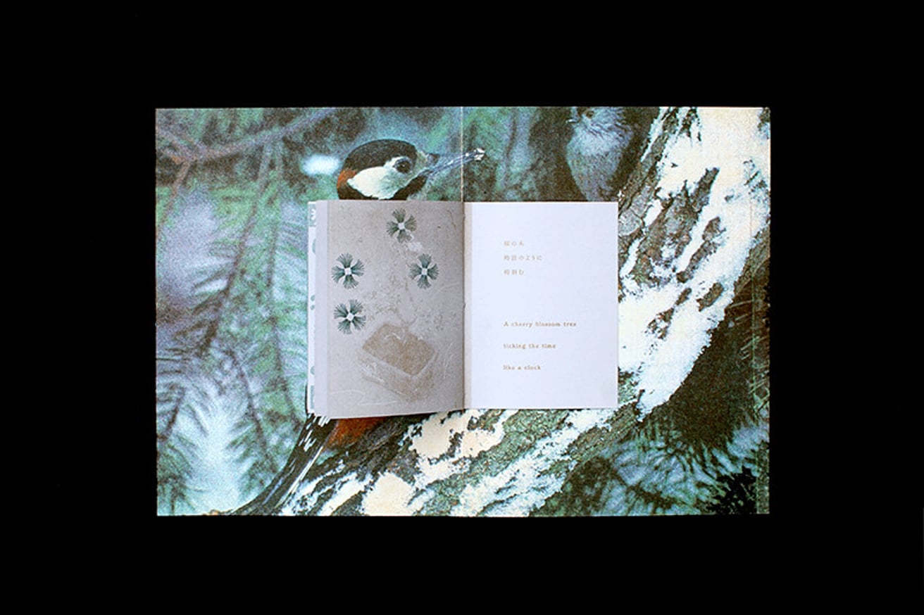 Yurari Yurari thumbnail 6