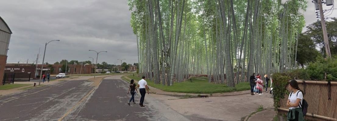 Rendering of a grassy area next to a street, reimagined as a space to grow tall bamboo.