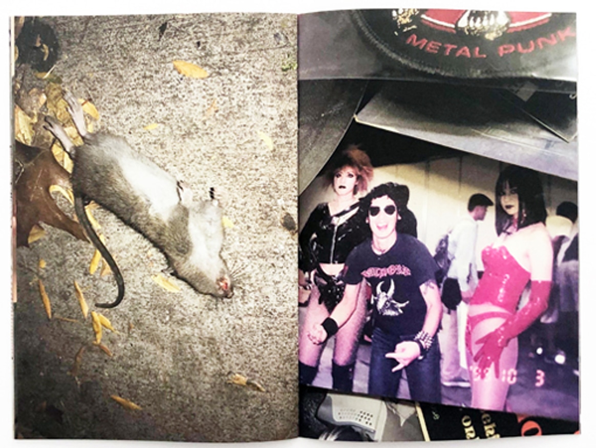 Dicks, Dogs, Rats, Men and Me thumbnail 6