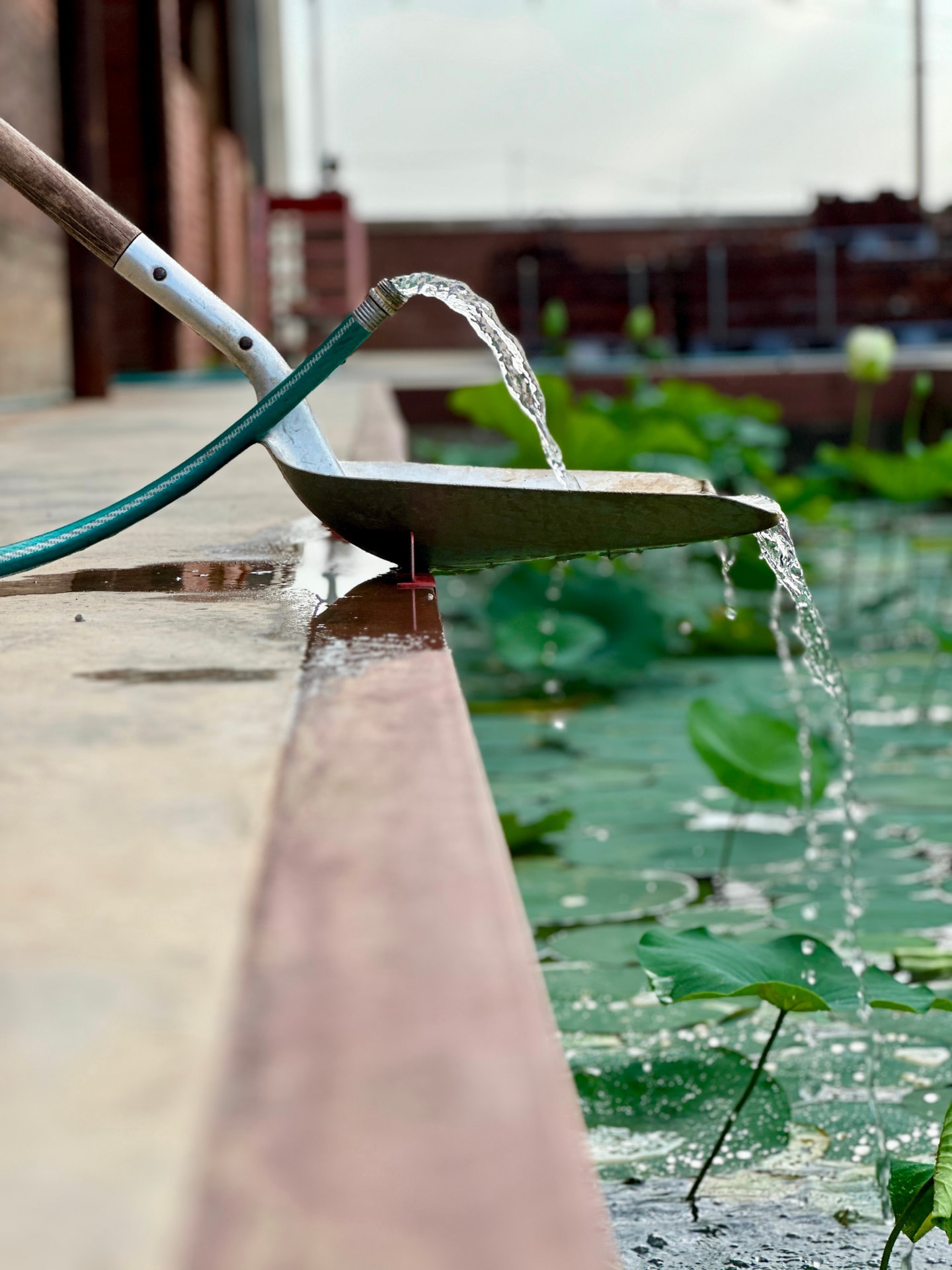 a hose over a shovel going into a pool