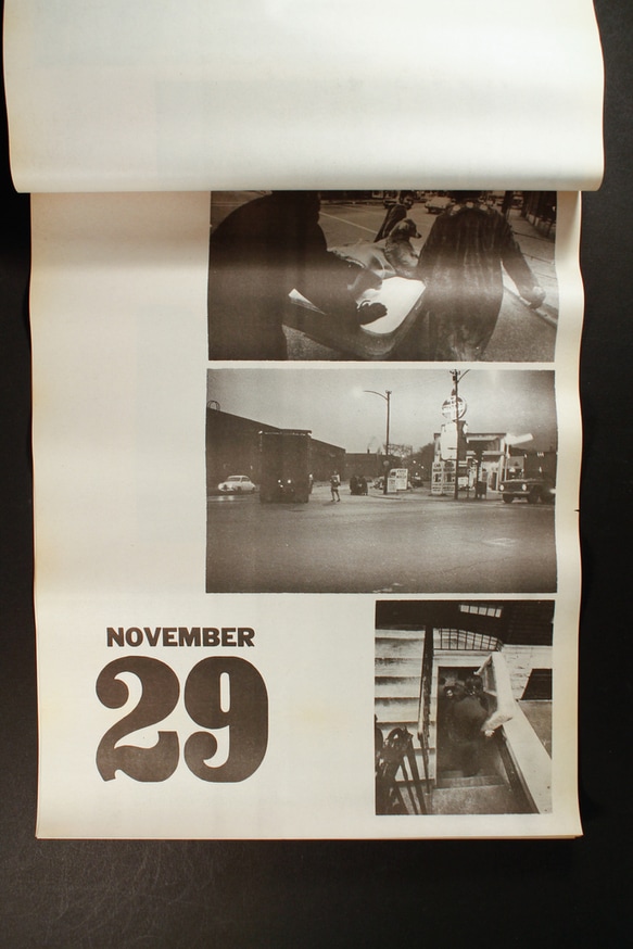 Herd Instinct 360° [DVD] thumbnail 6