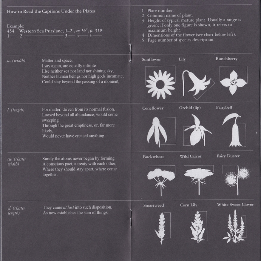 Drafts and Fragments thumbnail 3