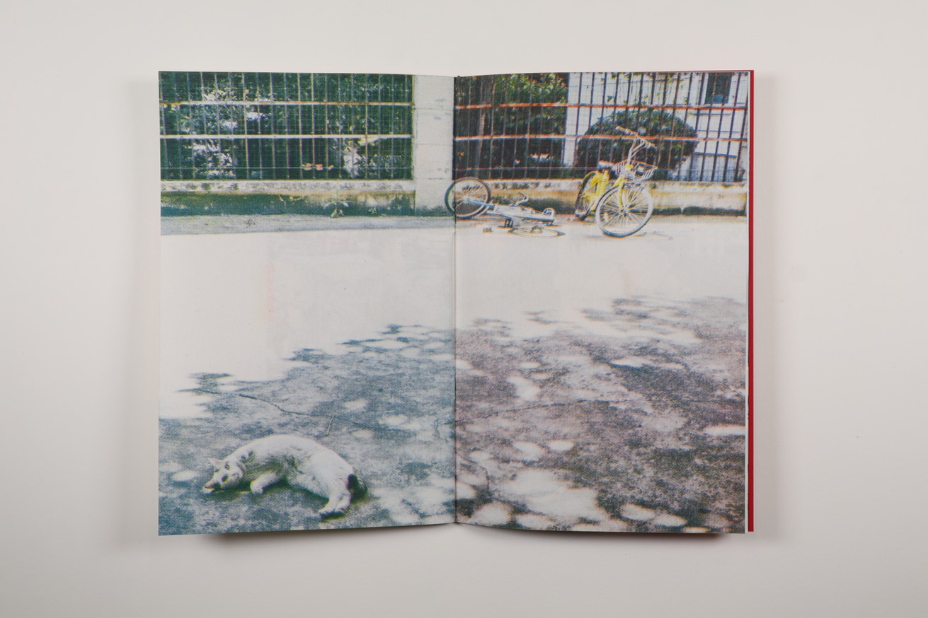 Double Happiness thumbnail 9