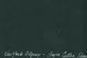 After the Fires in Seldon Canyon : When the River Runs Dry