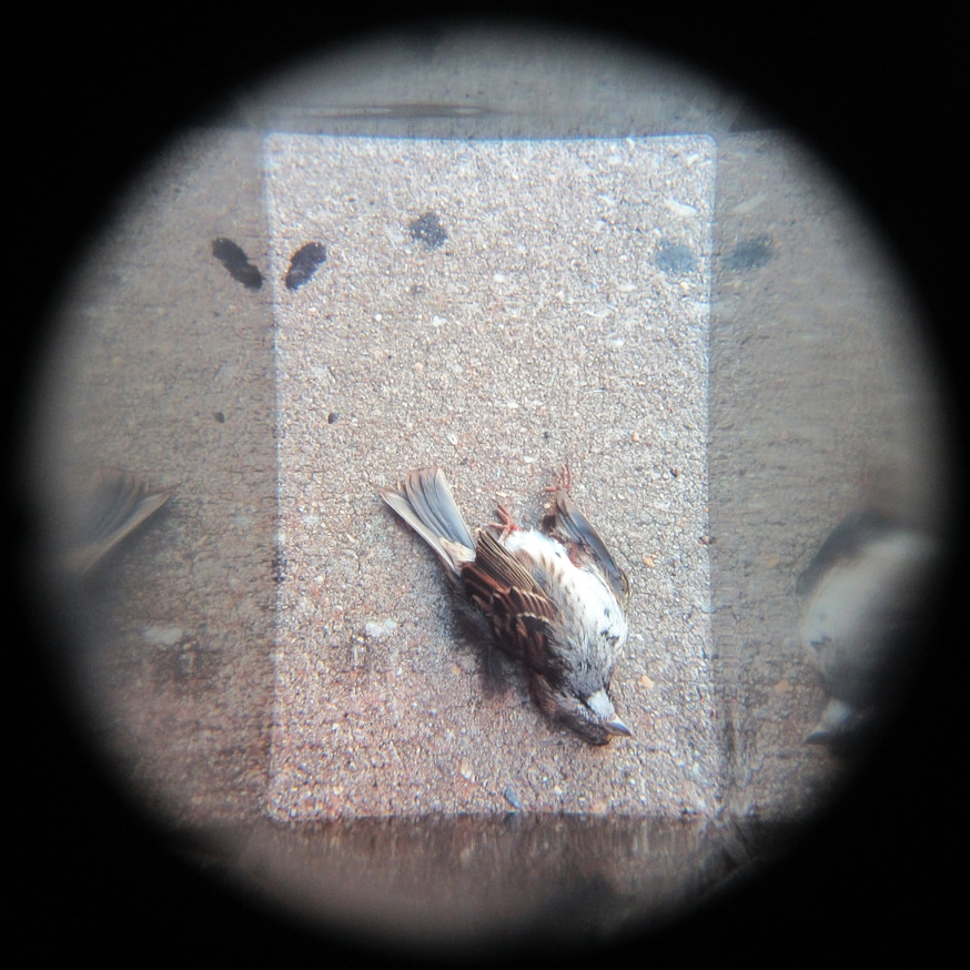 What in Me is Dark Illumine (Set of 8 Viewers) [third edition] thumbnail 2