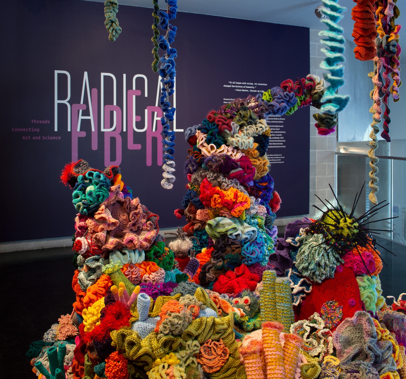 A colorful crocheted coral reef sculpture in front of a purple wall with the words RADICAL FIBER.