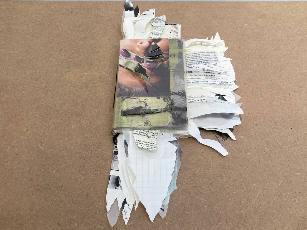 Cut Book (The_____Reader : 160 Books To Be Read With Eyes Ears Mind Body Use)