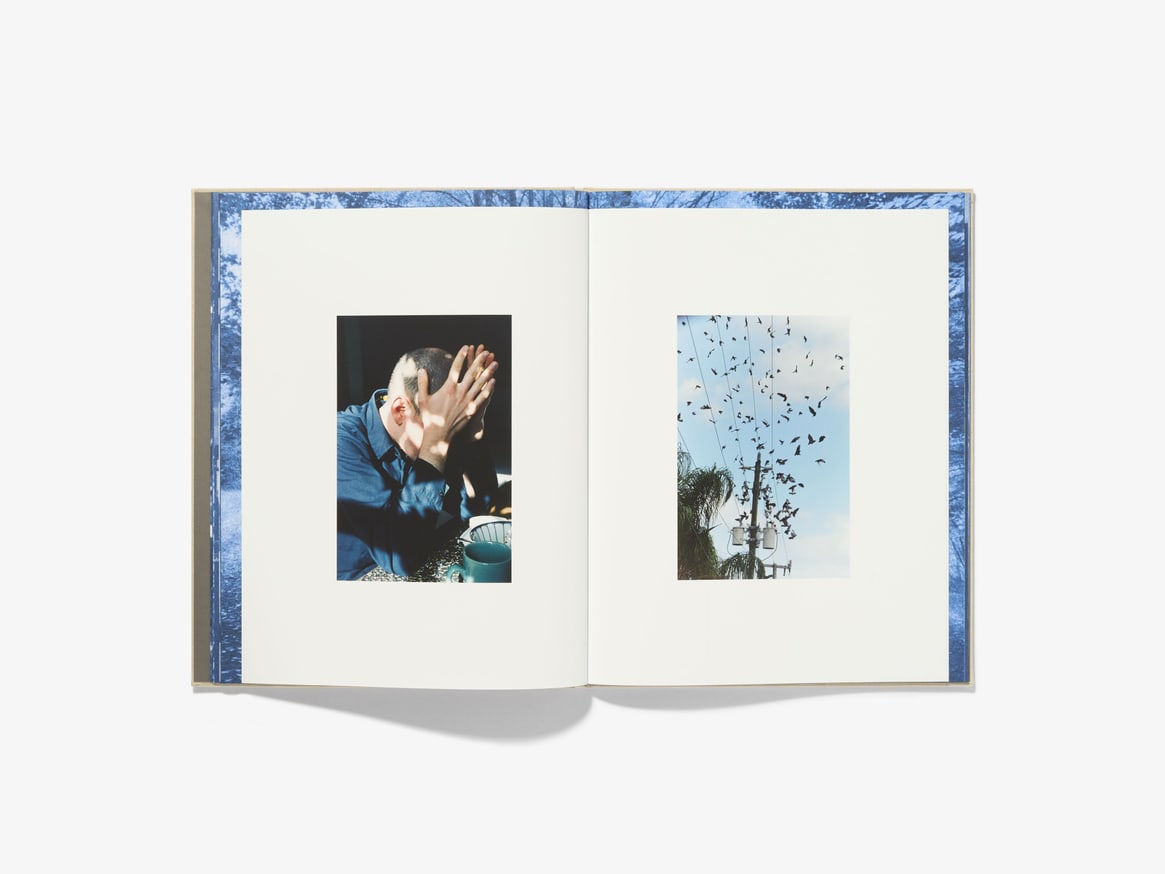 Ecstatic Nature thumbnail 4