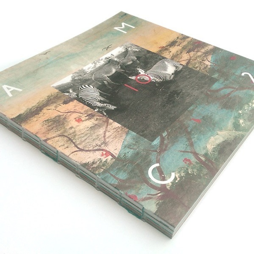 Amc2 Journal thumbnail 2