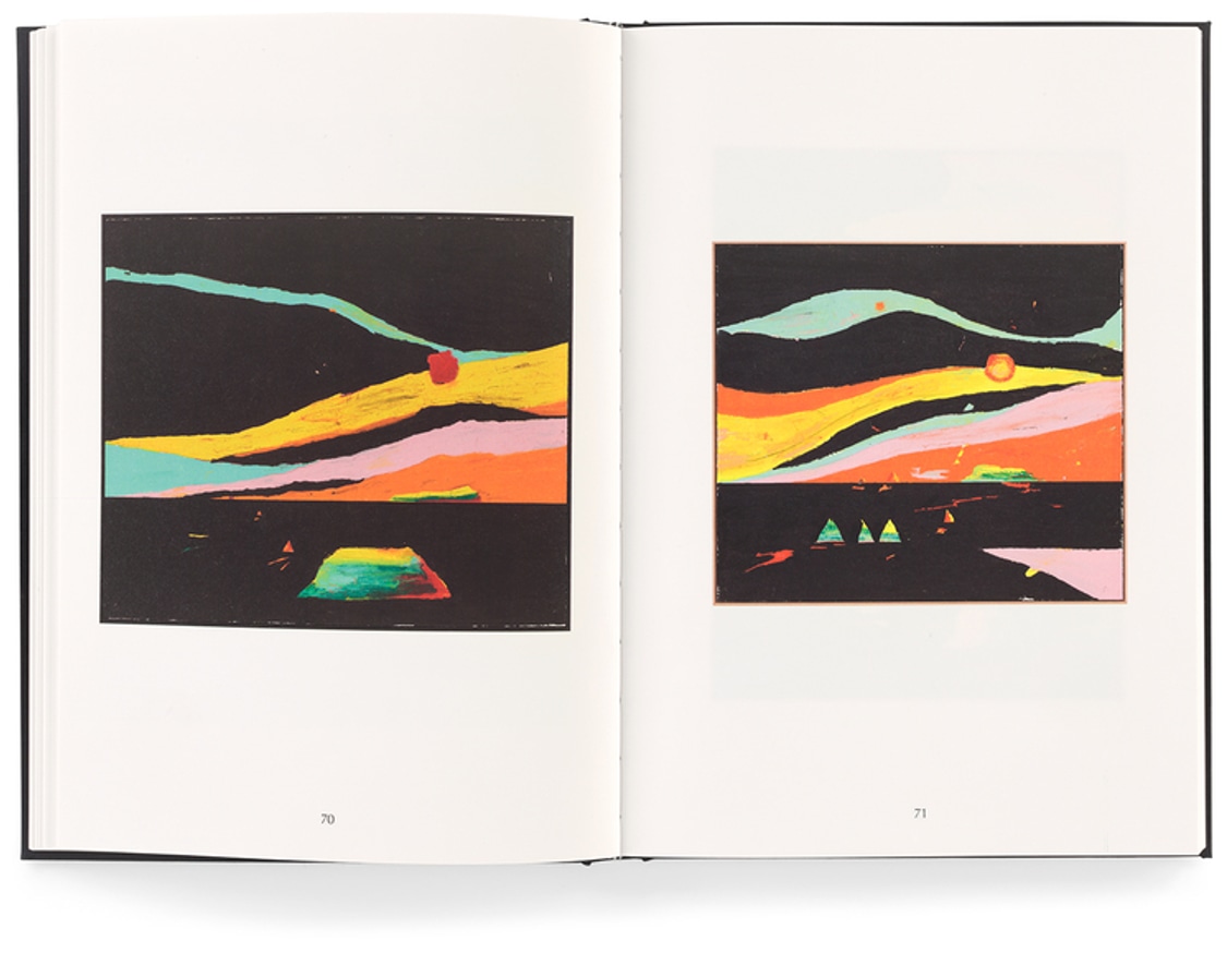 Harold Ancart: Soft Places (II) thumbnail 4