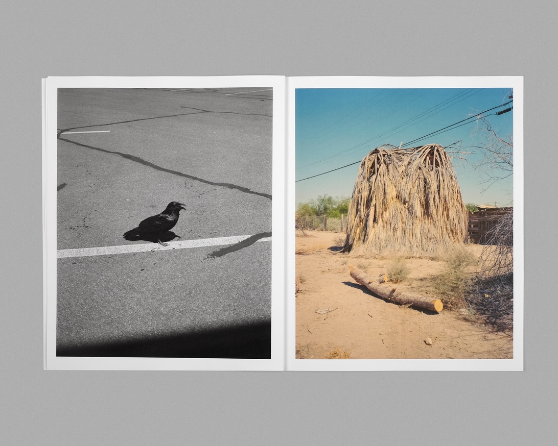 On Trial thumbnail 5