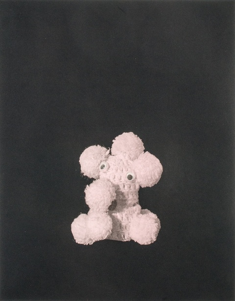 Photographic print of a small white stuffed animal on a black background