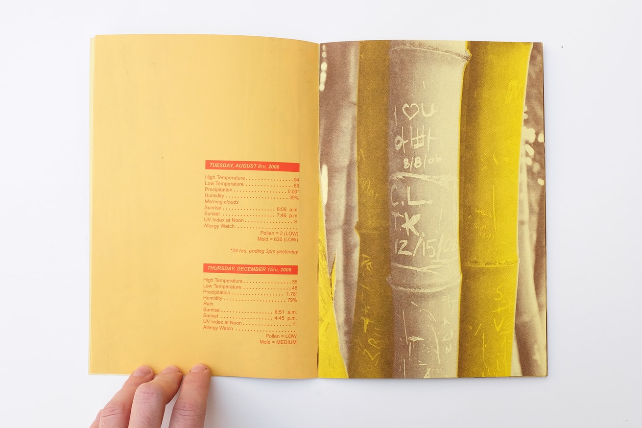 WRITTEN NAMES #3: Names and Dates Carved into Bamboo, San Marino, California thumbnail 2