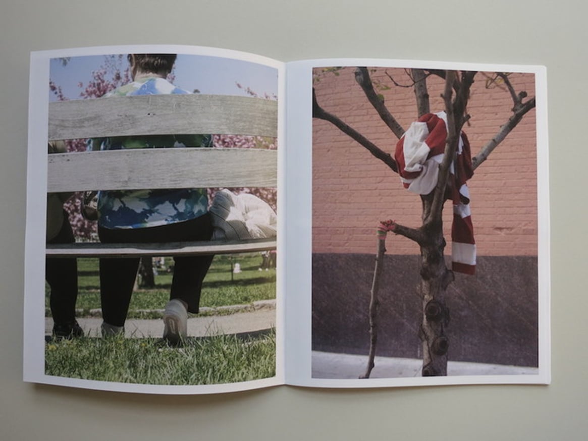 Plantlife/NYC thumbnail 5