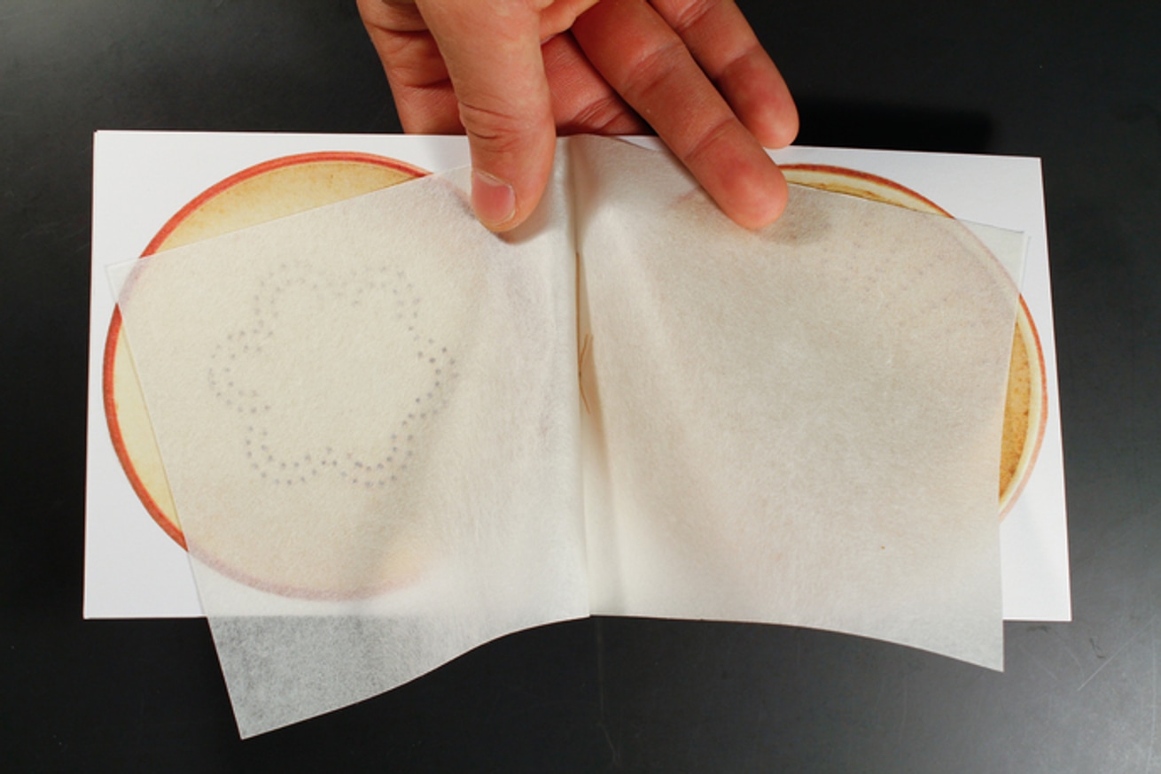 Silk Worm Box thumbnail 3