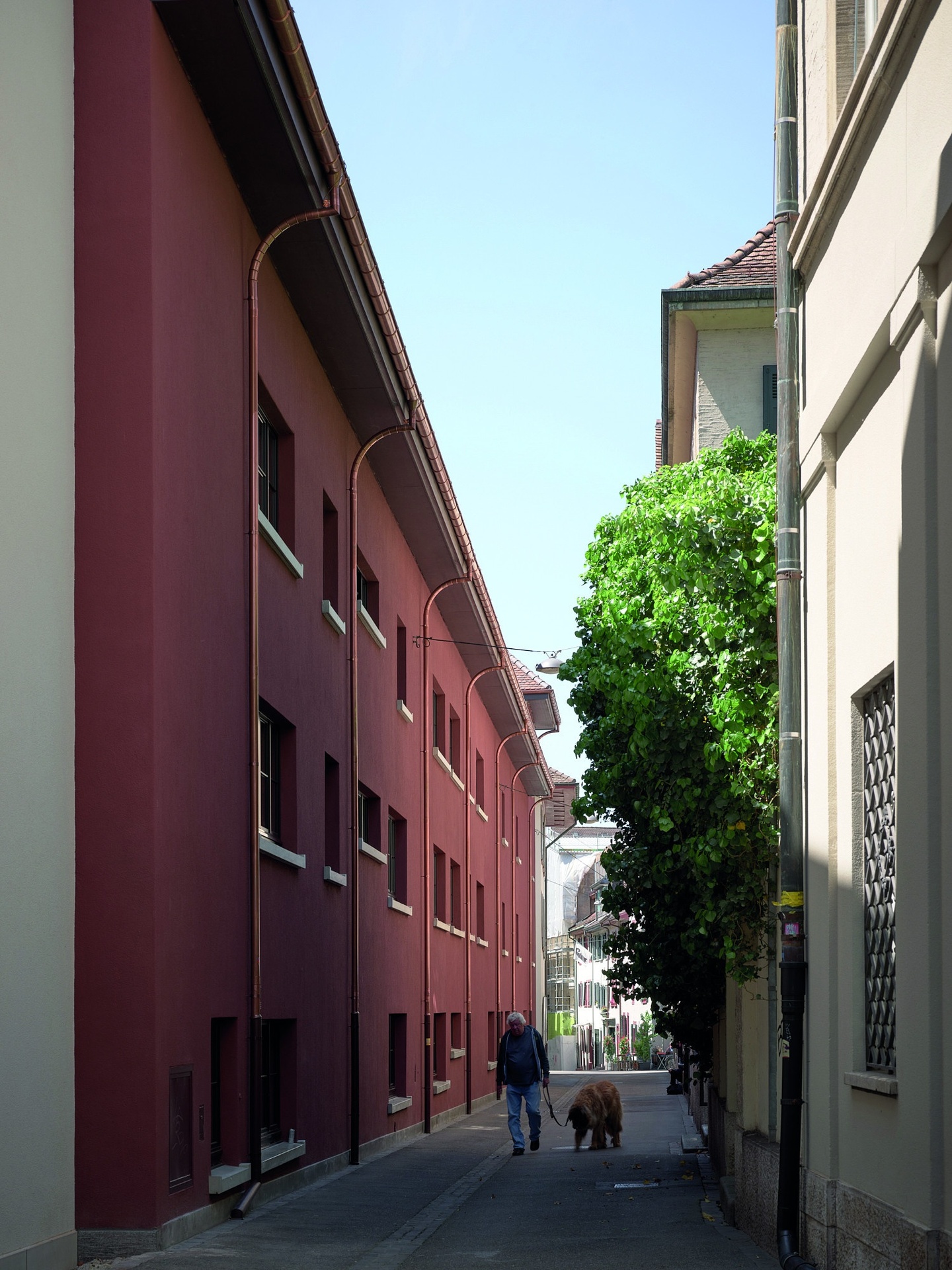 Photo of a person walking a dog through a narrow street between two tall buildings.