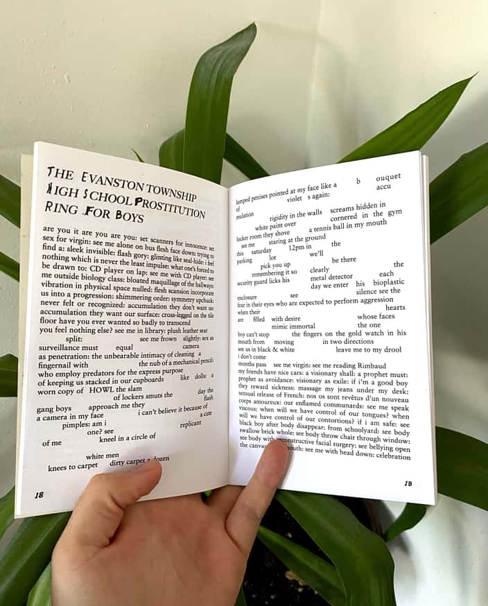 Cumflower thumbnail 3