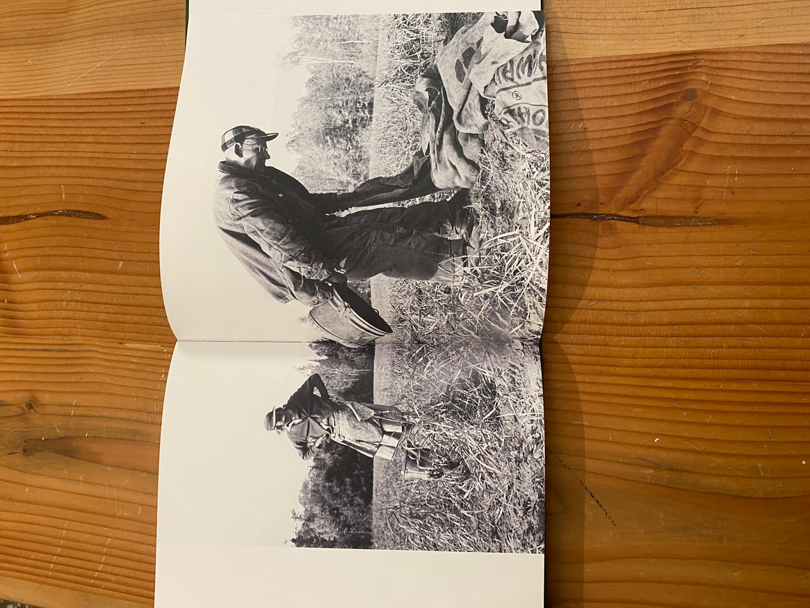 Into the Light Cellar thumbnail 5