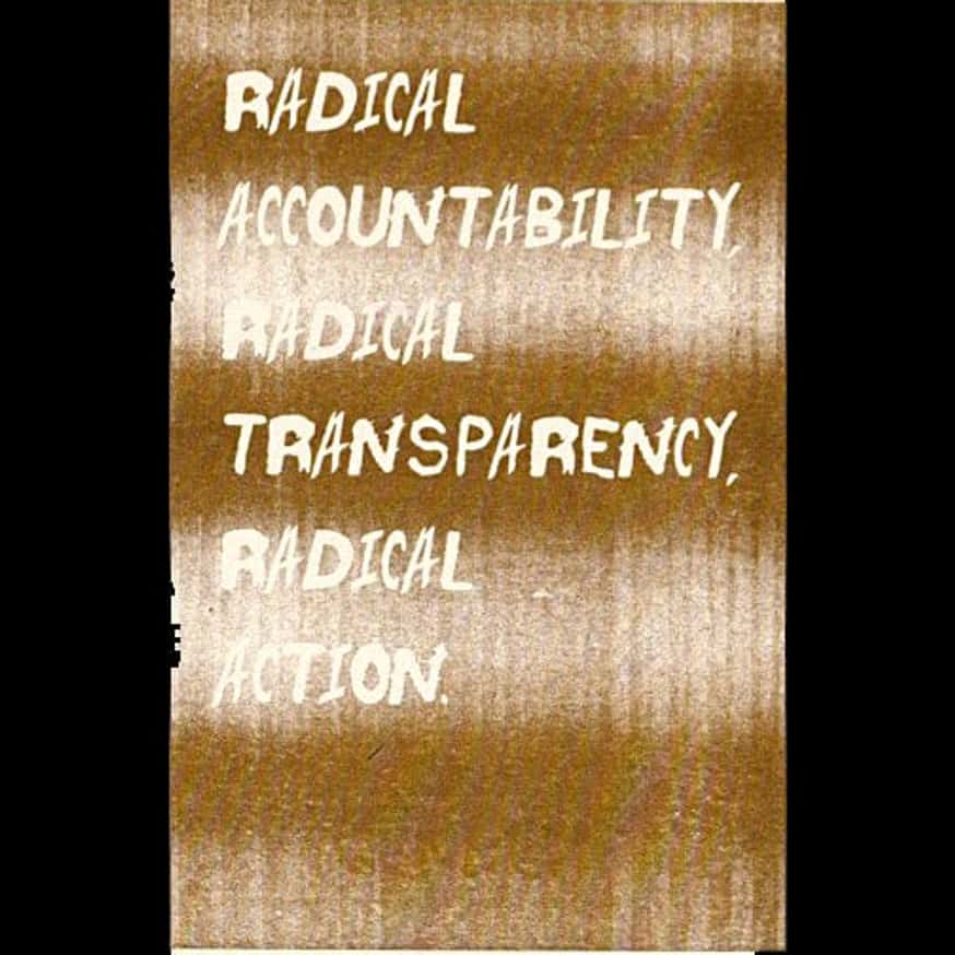 Radical Accountability, Radical Transparency, Radical Action