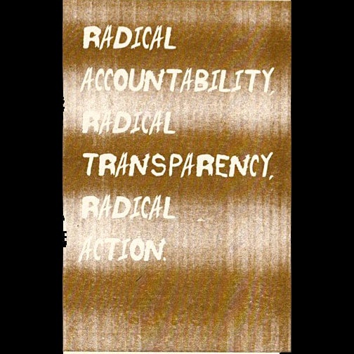 Radical Accountability, Radical Transparency, Radical Action thumbnail 1