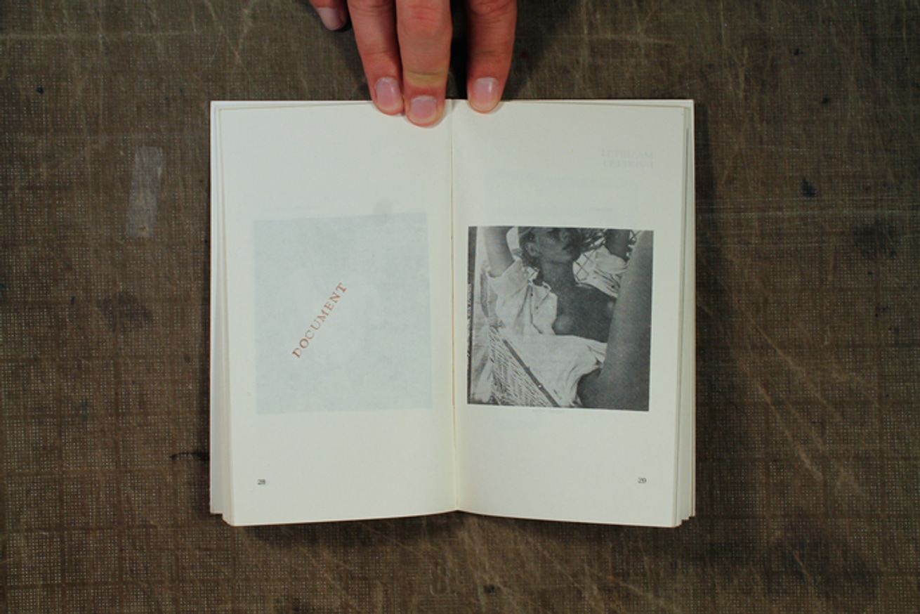 Alter, Alternative Works 1972-1982 thumbnail 4